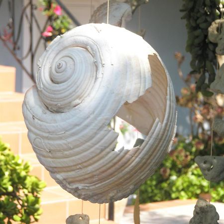 Aeolos Studios Kefalonia Khelmáta Exteriér fotografie