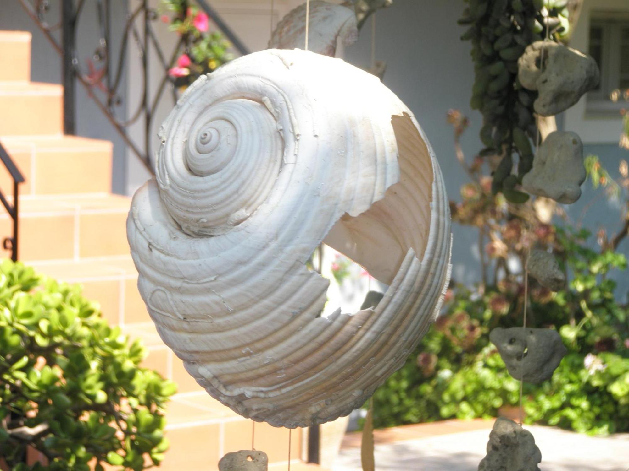 Aeolos Studios Kefalonia Khelmáta Exteriér fotografie